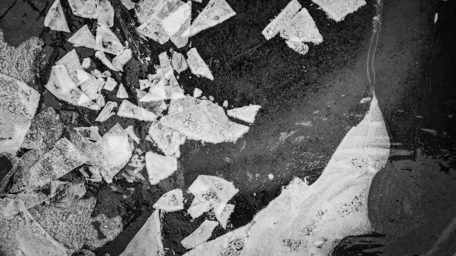 Broken sheet ice scattered across dark water
