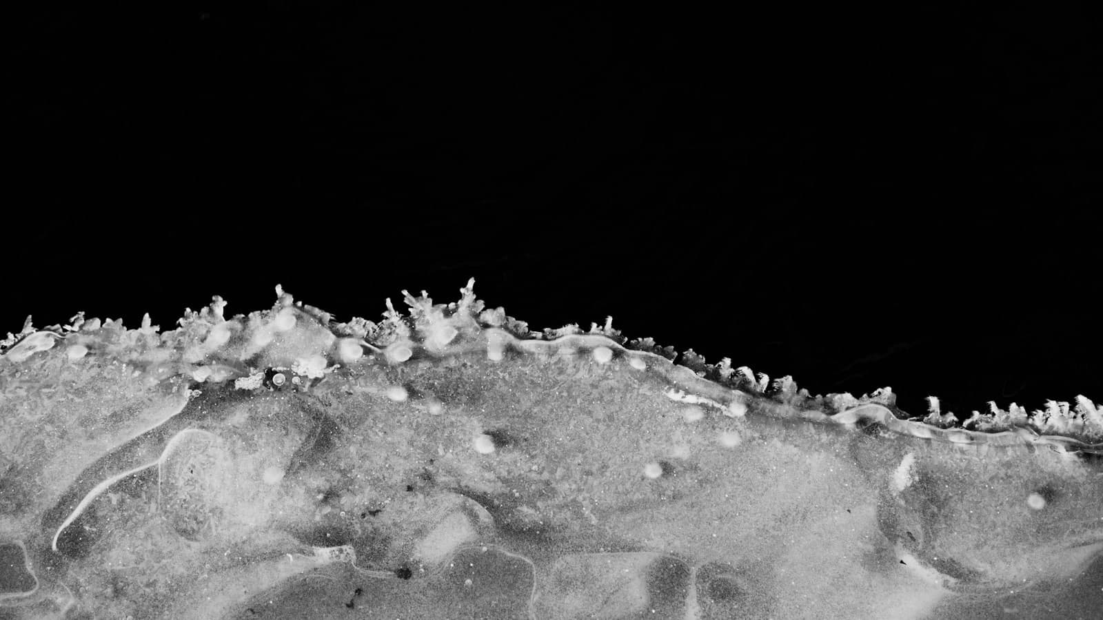 Ice crystals forming along the edge of dark water