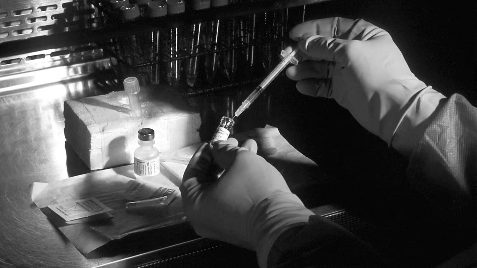 Gloved hands drawing diluent into a syringe from a small vial at a laboratory bench